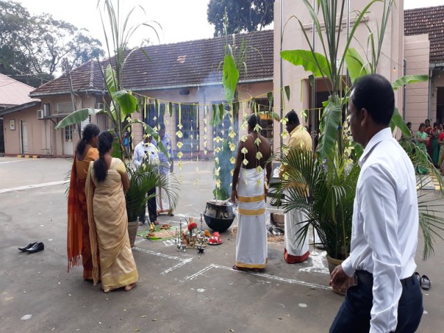 Thaipongal Festival_16.01.2019